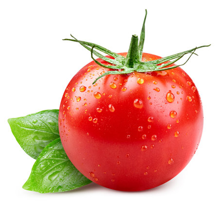 Tomato drops isolated. Fresh wet tomato with leaves basil isolated on white background. Tomato with clipping pathの写真素材