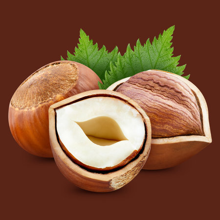 Hazelnut. Organic hazelnut isolated on clipping path. hazelnut macroの写真素材