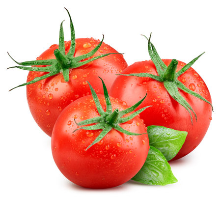 Tomato drops isolated. Fresh wet tomato with leaves basil isolated on white background. Tomato with clipping pathの写真素材