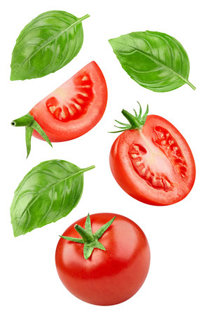 Flying in air tomato. Levitation tomato with leaves basil isolated on white background. Tomato with clipping pathの写真素材