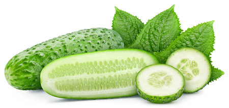 Cucumber with leaves isolated on white background. Cucumber for your design. Cucumber clipping pathの写真素材