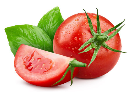 Wet tomato with leaves basil isolated. Tomatoes with drops on white background. tomato clipping path.の写真素材