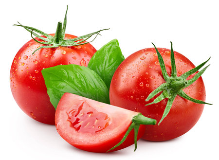 Tomato with drops. Wet tomato with leaves basil isolated on white background. Tomato with clipping pathの写真素材