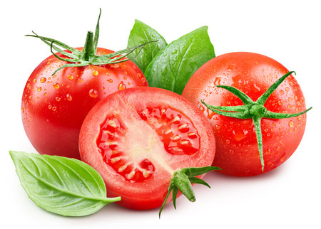Tomato isolated with basil leaves. Tomatoes with drops on white background. With clipping pathの写真素材