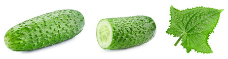 Organic cucumber isolated on white background. Taste cucumber with leaf. with clipping pathの写真素材