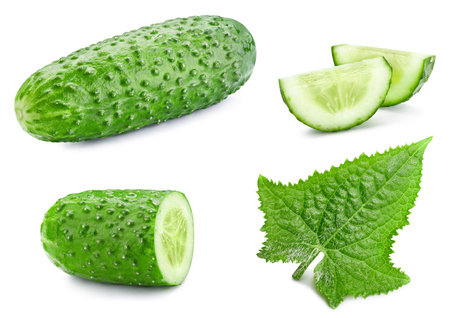 Cucumber with a leaf vegetable with slice isolated on white background. Cucumber Clipping Pathの写真素材