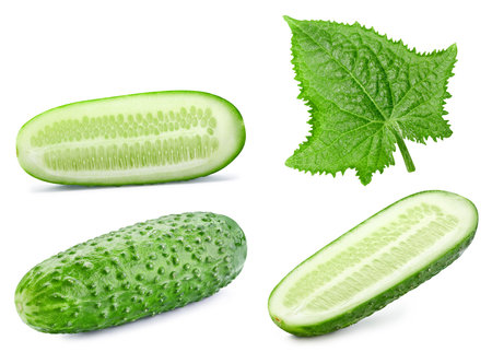 Organic cucumber isolated on white background. Taste cucumber with leaf. with clipping pathの写真素材