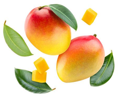 Mango clipping path. Collection mango isolated on white. Mango full depth of field. Flying in air mangoの写真素材