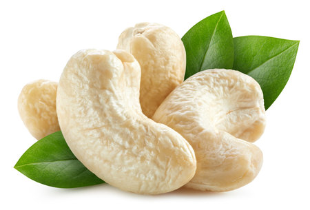 Cashew nuts with leaves isolated on white background. Cashew clipping pathの写真素材