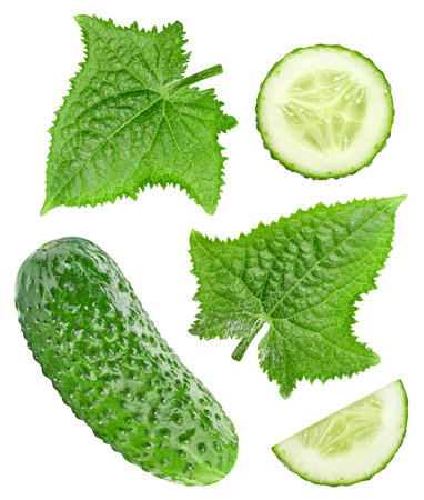 Cucumber isolate. Cucumber on a white background. Cucumber slice with clipping path.の写真素材