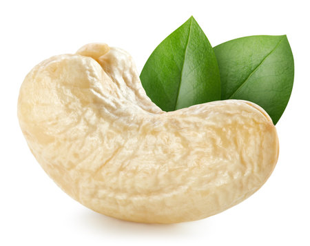 Cashew nuts with leaves isolated on white background. Cashew clipping pathの写真素材
