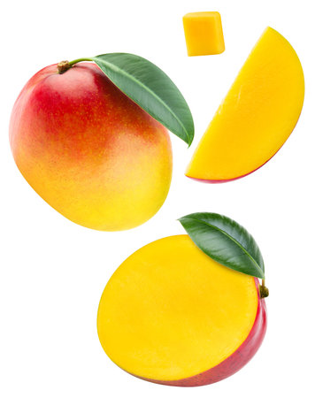 Mango isolated on white background. Mango fruit clipping path. Mango slice macro studio photoの写真素材
