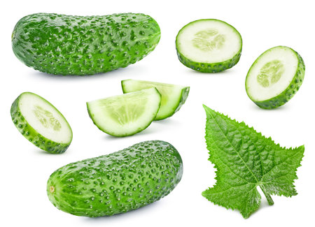 Cucumber slice. Fresh organic cucumber with leaves isolated on white background. Cucumber with clipping pathの写真素材