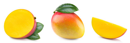 Mango collection isolated on white background. Fresh mango leaf. Clipping path mango. Mango macro studio photo.の写真素材