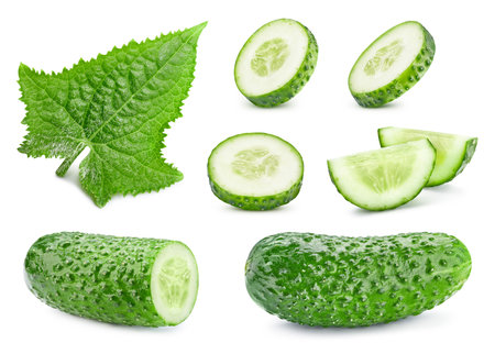 Cucumber slice. Fresh organic cucumber with leaves isolated on white background. Cucumber with clipping pathの写真素材