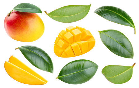 Mango fruit with mango cubes and leaves isolated on a white background. Mango with leaves clipping pathの写真素材