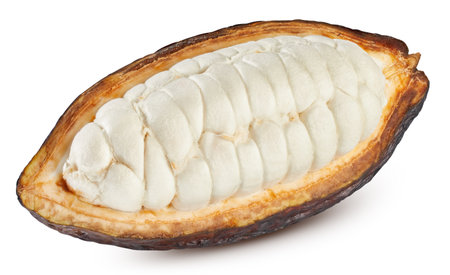 Cocoa pod. Cocoa pod isolated on white background. Cocoa bean with clipping pathの写真素材