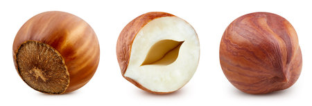Hazelnut nut. Hazelnut isolated on white background. Hazelnut clipping path.