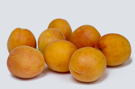 eight apricots on a white backgroundの写真素材