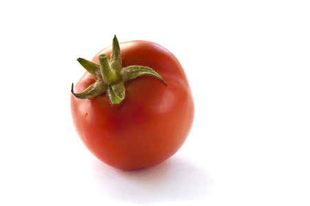 tomato on white backgroundの写真素材