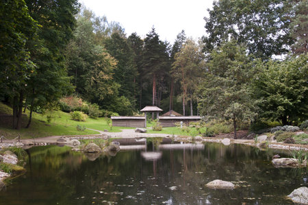 pond in a park in autumnの写真素材