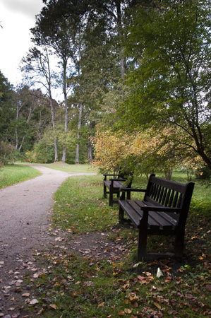 two benches in the park in autumnの写真素材
