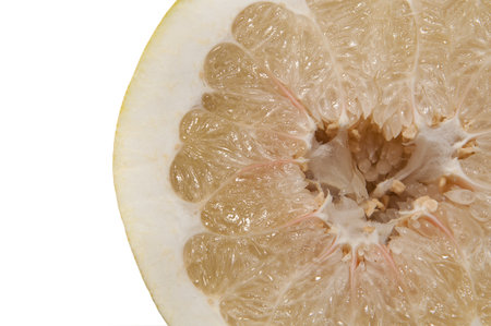 cut grapefruit on white backgroundの写真素材