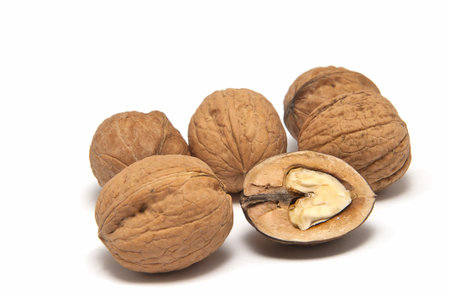 five walnuts on a white backgroundの写真素材