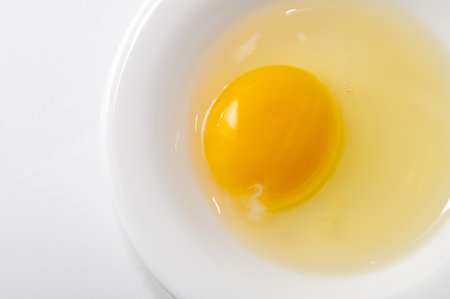 raw egg on a white plateの写真素材