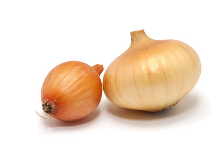 two onions on a white backgroundの写真素材