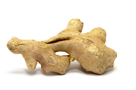 ginger root on white backgroundの写真素材