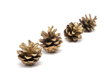 four cones on a white backgroundの写真素材