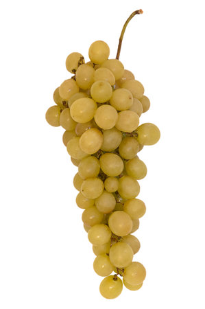 bunch of green grapes on a white backgroundの写真素材