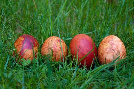 Four Easter eggs on the grass laid in orderの写真素材