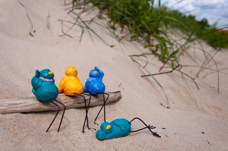 A group of birds on the beachの写真素材