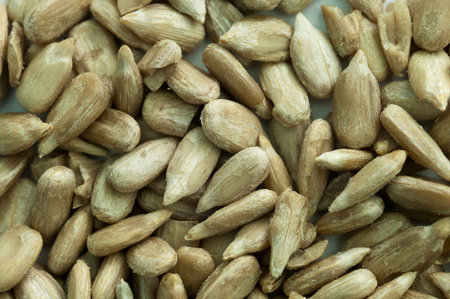 seeds of sunflower
