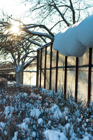 greenhouse during the winter time on the sunny dayの写真素材