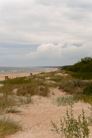 Sand dunes and the beach in the Baltic Seaの写真素材