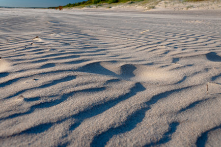 Sandy shore of the Baltic Seaの写真素材