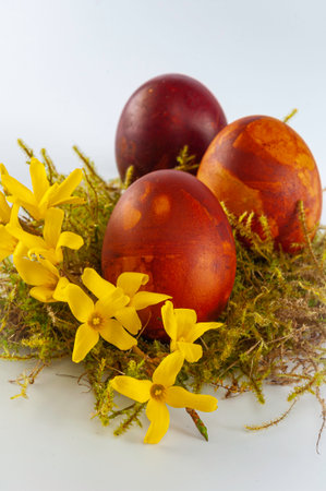 Painted easter eggs.の写真素材