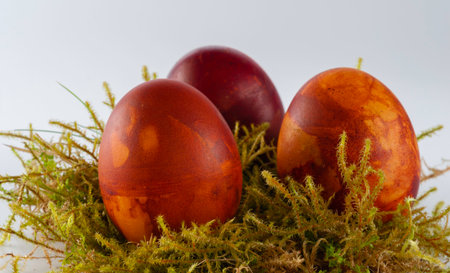 easter eggs in grassの写真素材