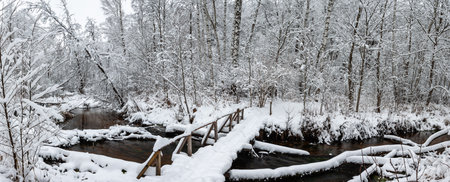 bridge over the river in the forest in winterの写真素材