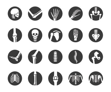 human bone and joint icon set, simple flat black circle design