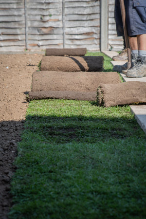 Turf or artificial grass being rolled out in the garden.