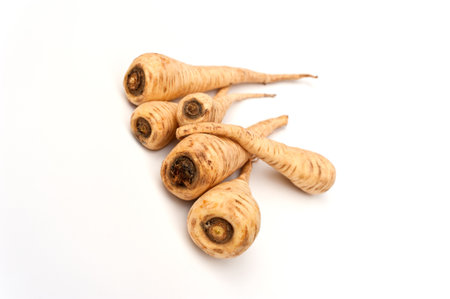 The parsnip is a root vegetable rich in vitamins and minerals の写真素材