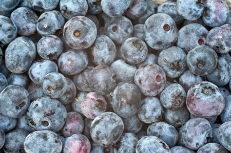 Blueberries