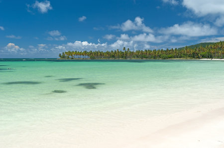 Tropical beach on SamanÃ¡ Peninsula, Dominican Republicのeditorial素材