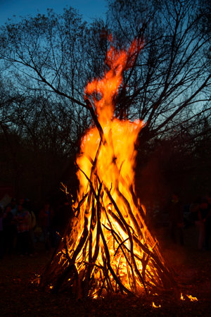 Big fire in the forest. The stake is manifested in the image of man.の写真素材
