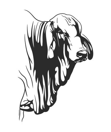 Hand drawn cow head in line art styleのイラスト素材
