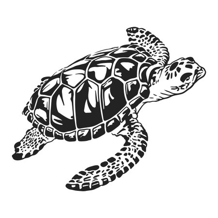 Sea turtle in black and white vector line art illustrationのイラスト素材